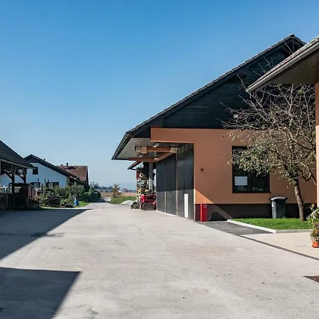 Apartma Rojc *
